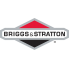 Briggs&Stratton (5)